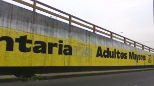 propganda-electoral-fundacion-mexico-sustentable