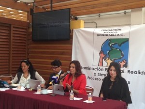fundacion-mexico-sustentable-ac-partidos-no cumplieron